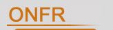 Link ONFR